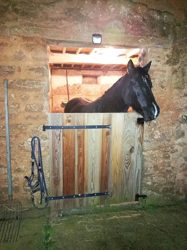 Pension équine de Briseval dans le cotentin - devant le box