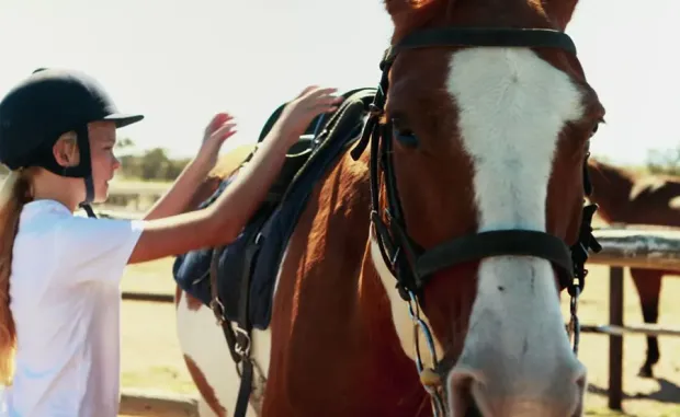 Pension équine de Briseval dans le cotentin - cours d'équitation