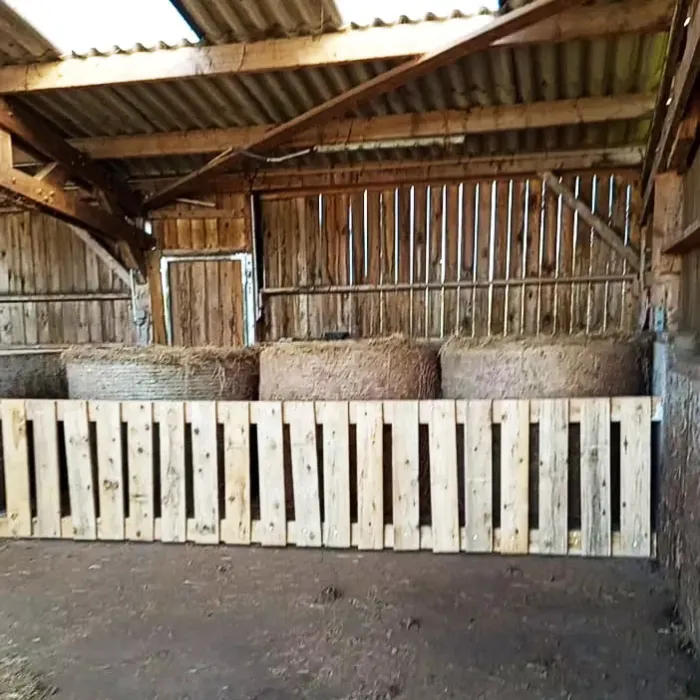 Pension équine de briseval dans le cotentin - en stabulation