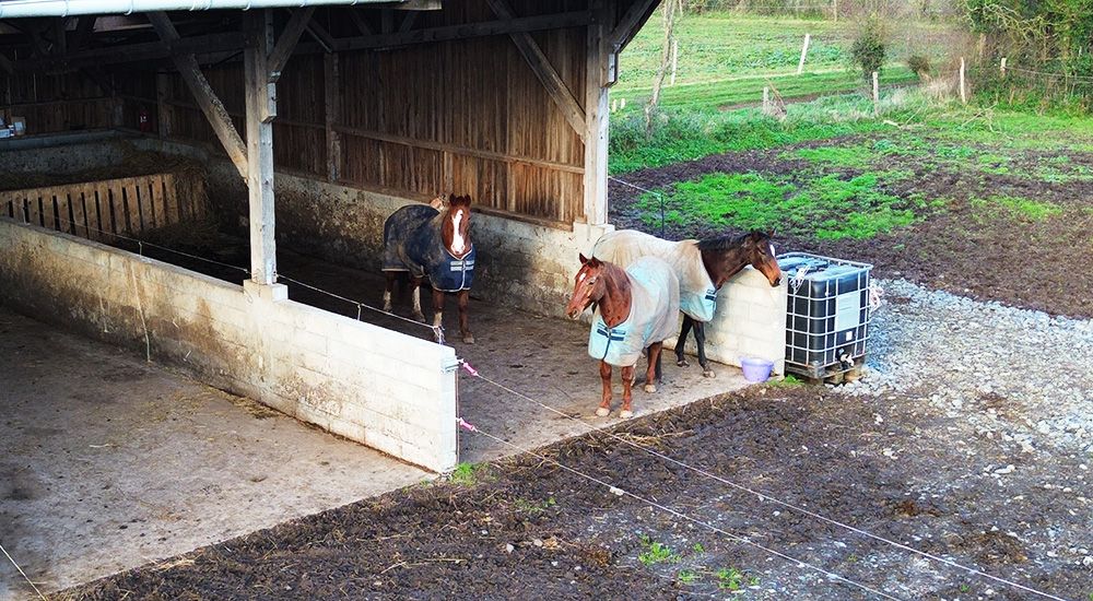 Pension équine de Briseval