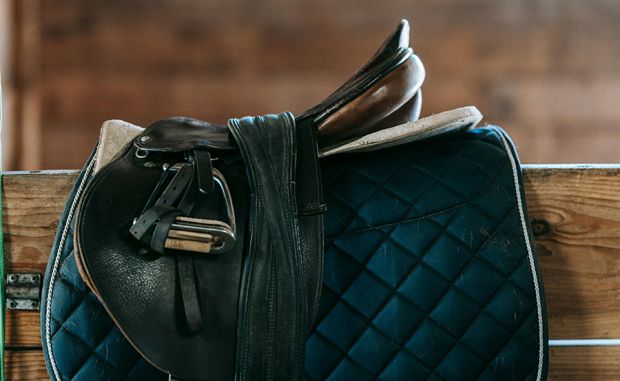 Pension équine de Briseval